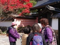 万願寺秋の散策